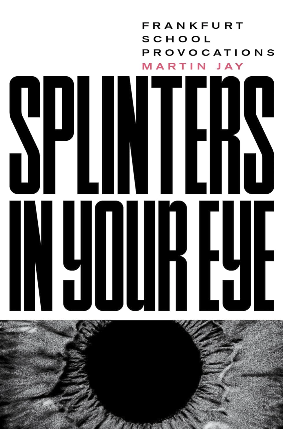 Splinters in Your Eye: Essays on the Frankfurt School Jay, Martin