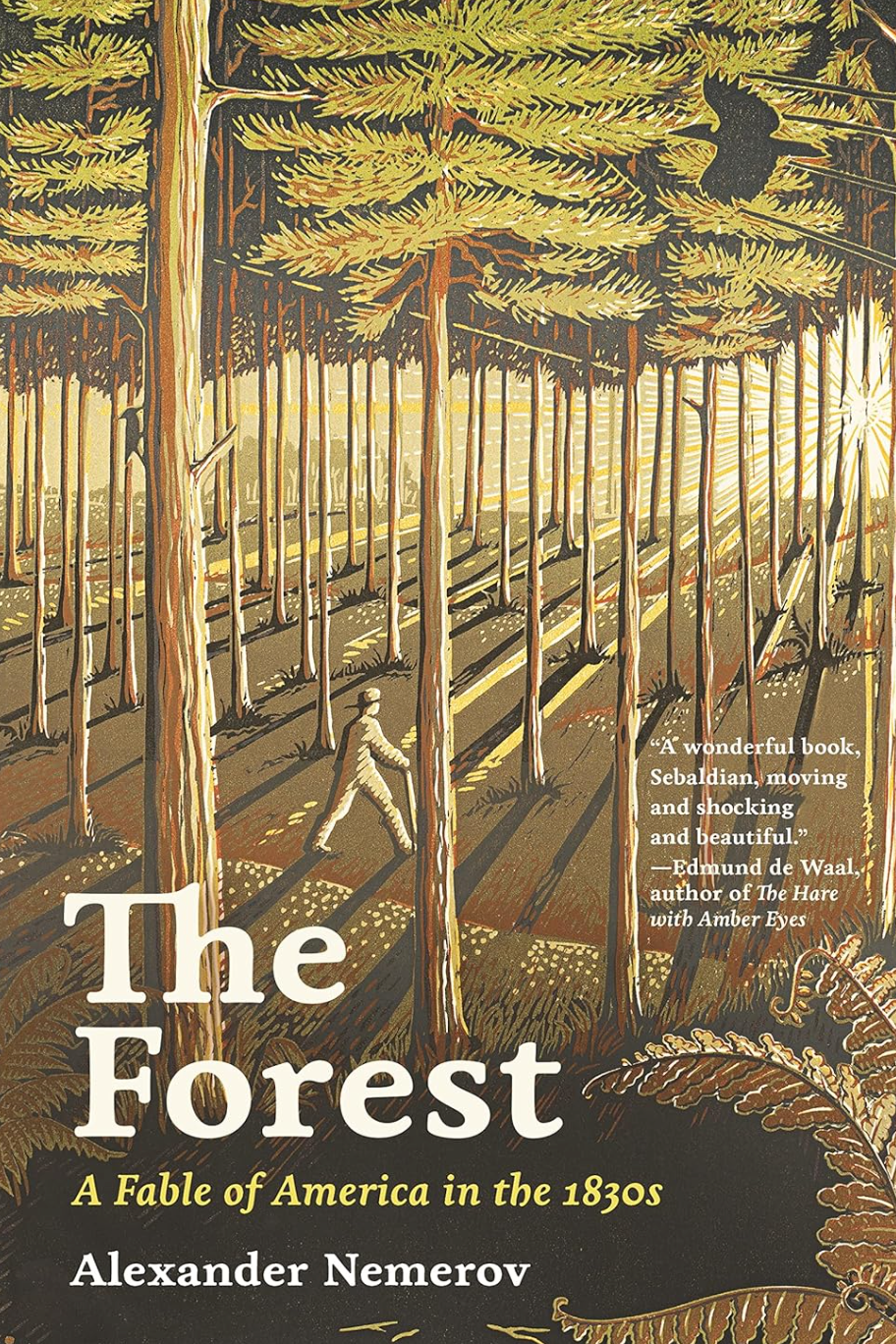 The Forest: A Fable of America in the 1830s (Bollingen Series) Nemerov, Alexander (hardcover)