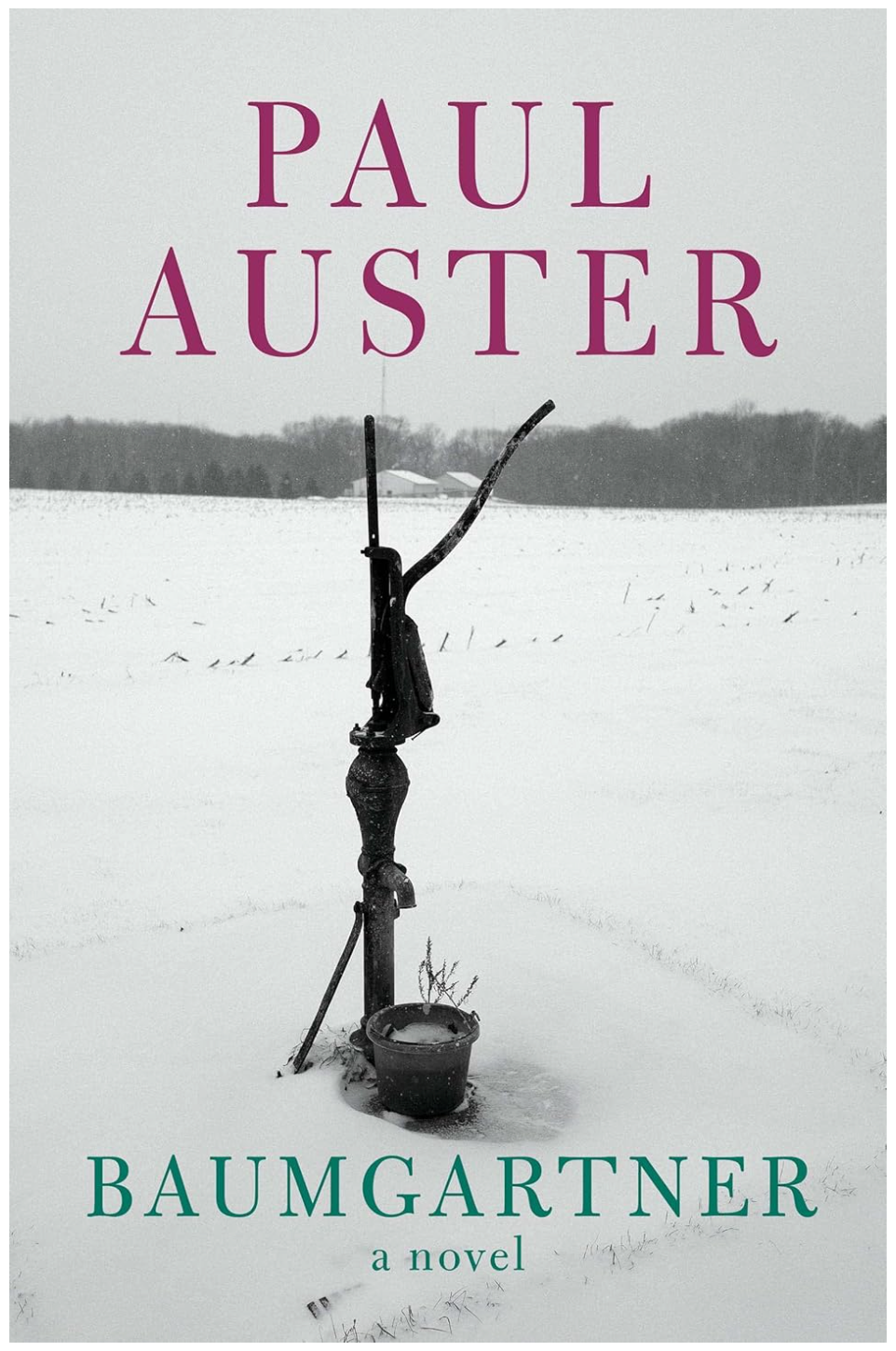 Baumgartner Auster, Paul
