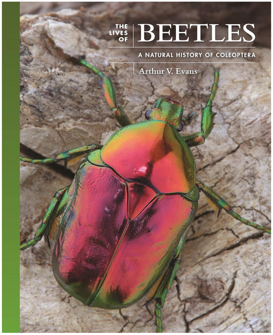 The Lives of Beetles: A Natural History of Coleoptera (The Lives of the Natural World) Evans, Arthur V.
