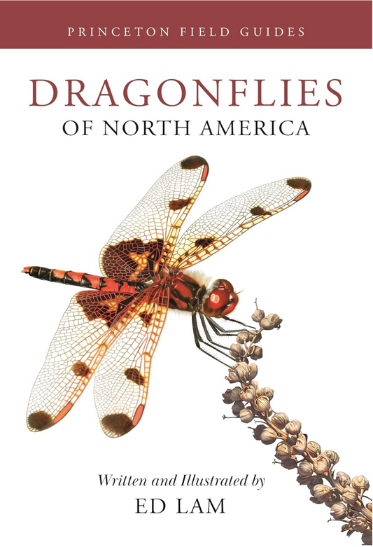 Dragonflies of North America (Princeton Field Guides) Lam, Ed
