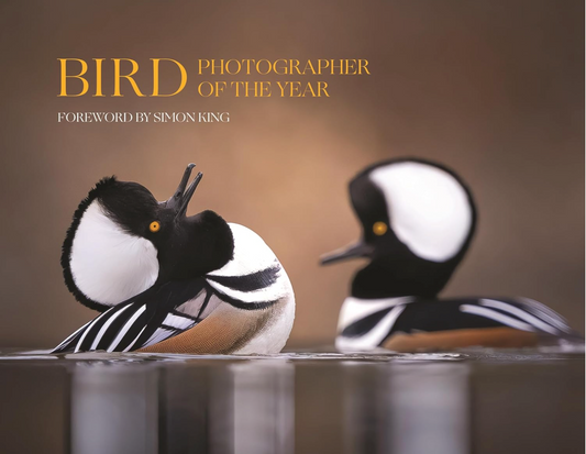 Bird Photographer of the Year: Collection 9 Bird Photographer of the Year Limited and King, Simon