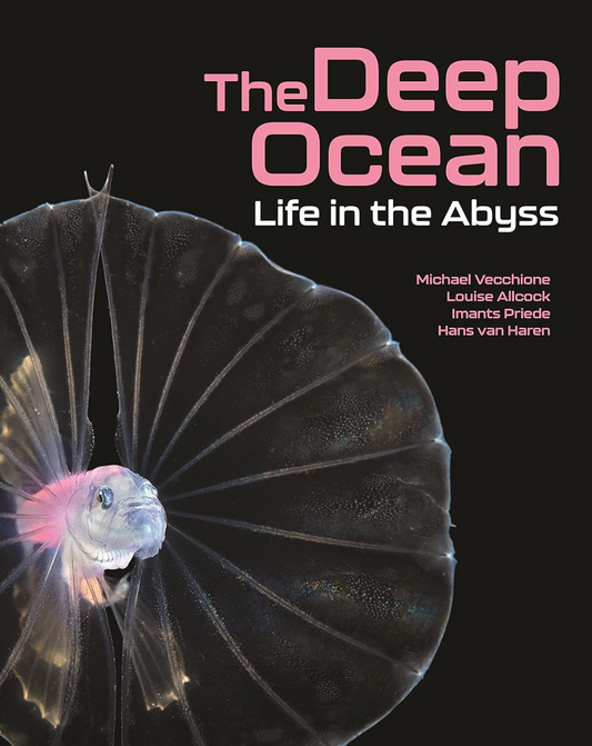 The Deep Ocean: Life in the Abyss Vecchione, Michael; Allcock, Louise; Priede, Imants and Haren, Hans van